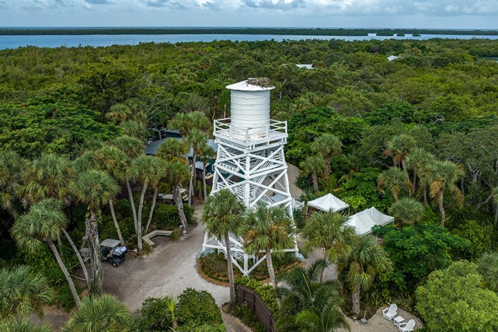 a garden with water in the background