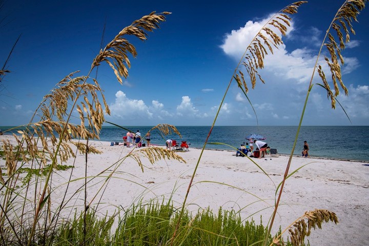 a group of people flying kites on a beach