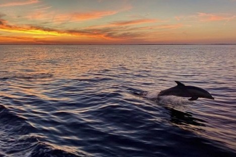 a sunset over a body of water