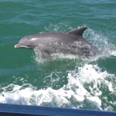 a person riding a wave on a surfboard in the water