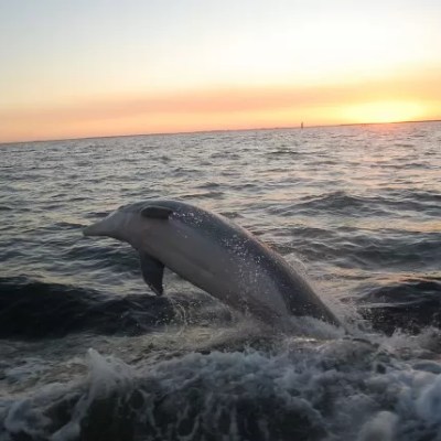 a sunset over a beach next to the ocean